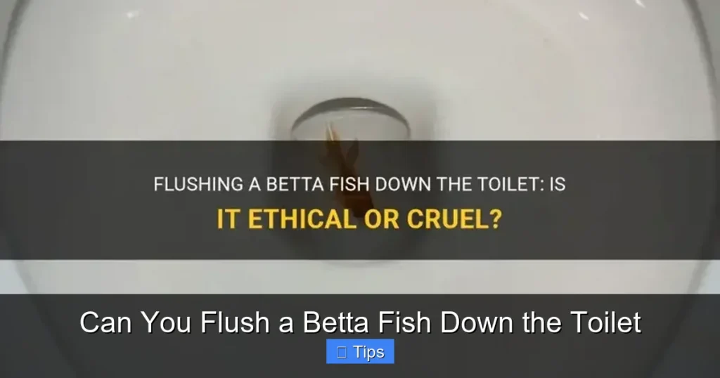 Can You Flush a Betta Fish Down the Toilet