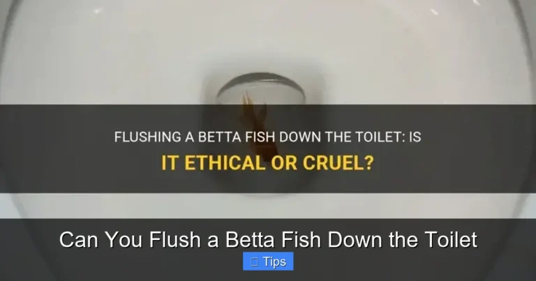 Can You Flush a Betta Fish Down the Toilet