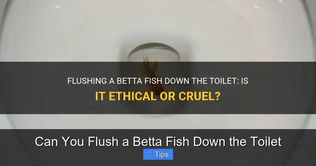 Can You Flush a Betta Fish Down the Toilet
