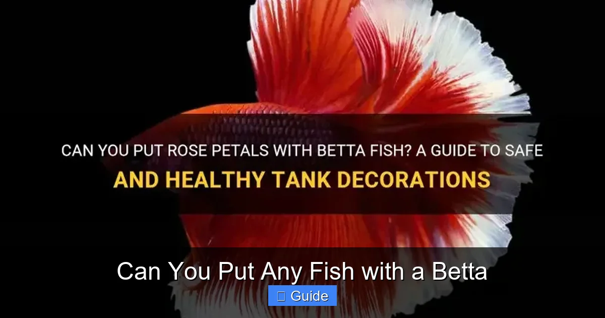 Can You Put Any Fish with a Betta