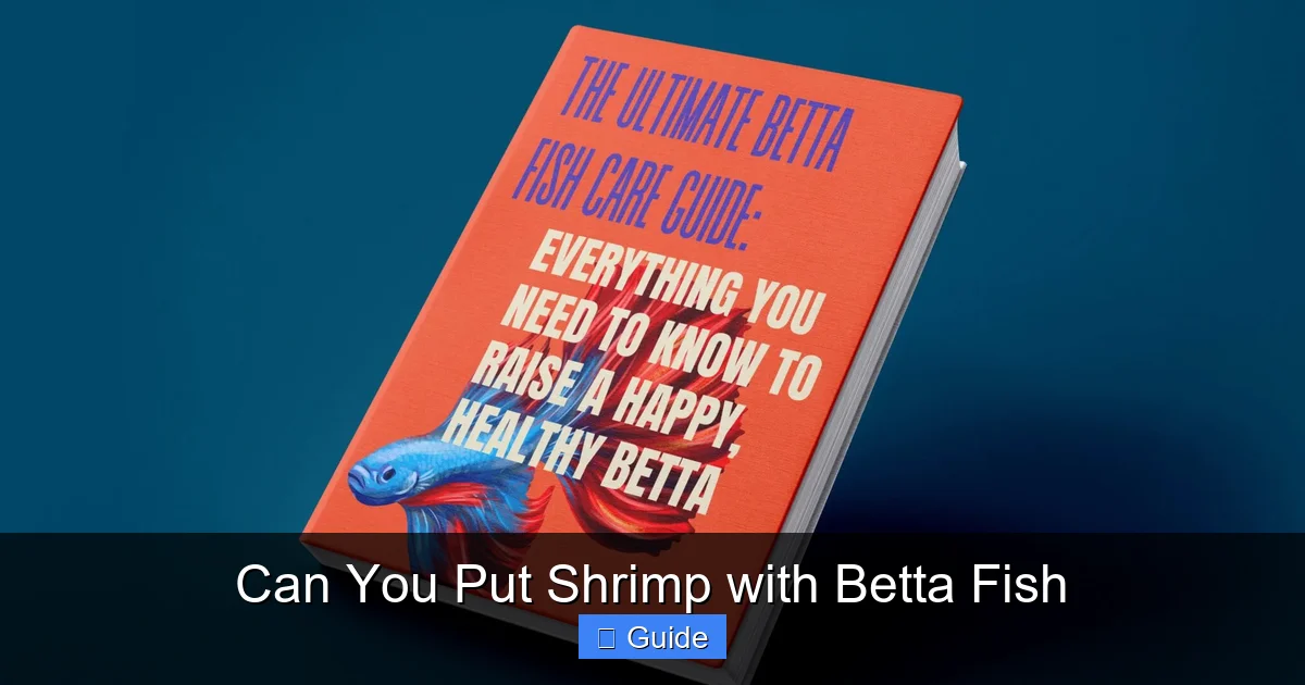 Can You Put Shrimp with Betta Fish