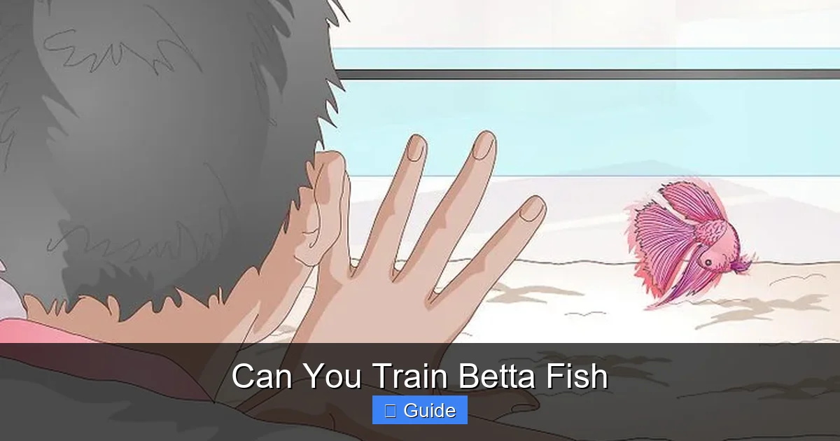 Can You Train Betta Fish