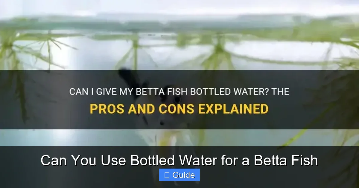 Can You Use Bottled Water for a Betta Fish