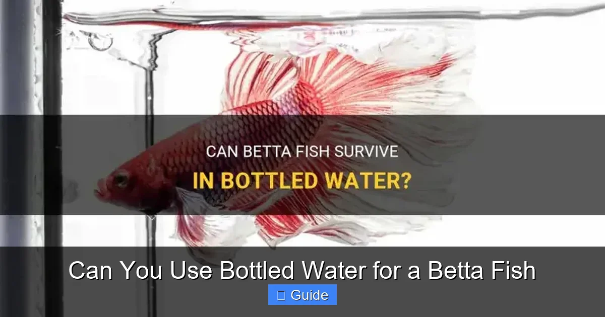 Can You Use Bottled Water for a Betta Fish