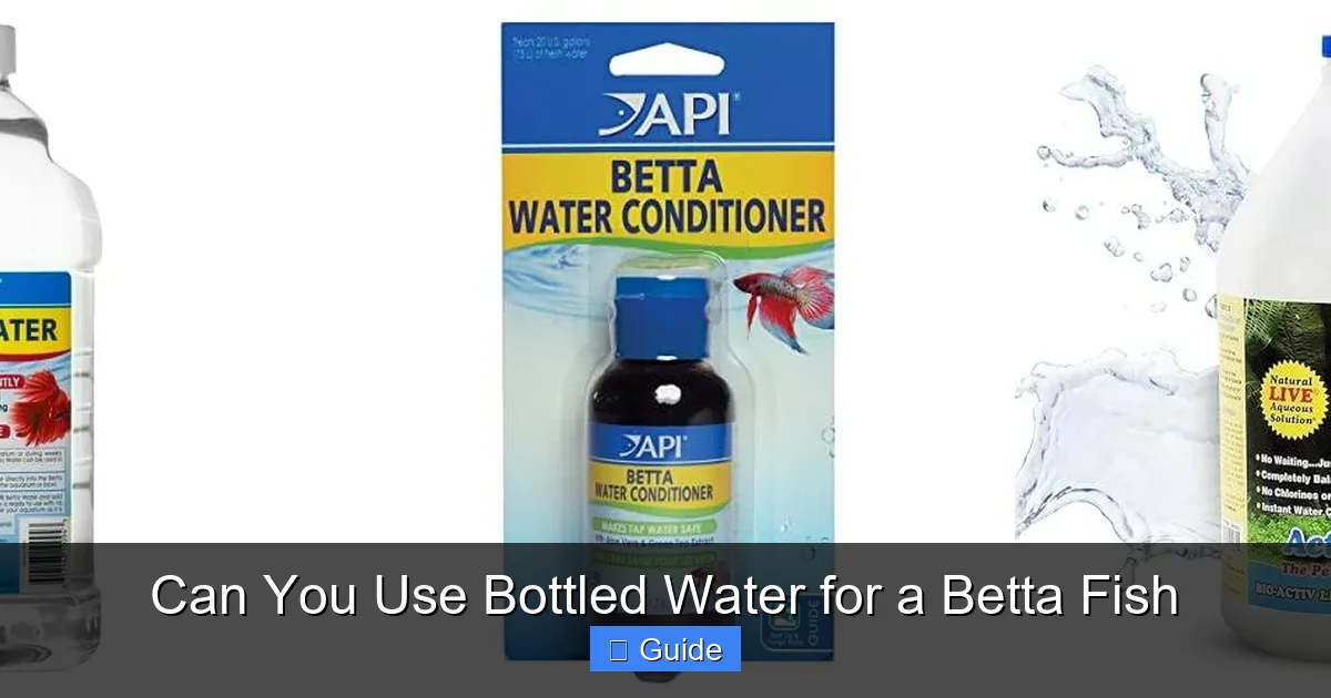 Can You Use Bottled Water for a Betta Fish
