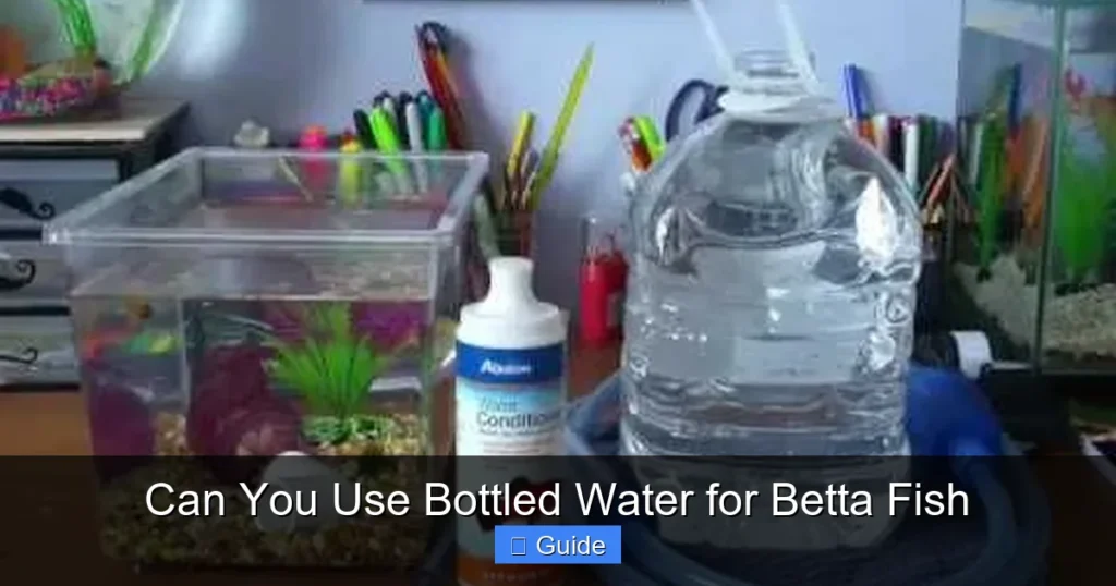 Can You Use Bottled Water for Betta Fish