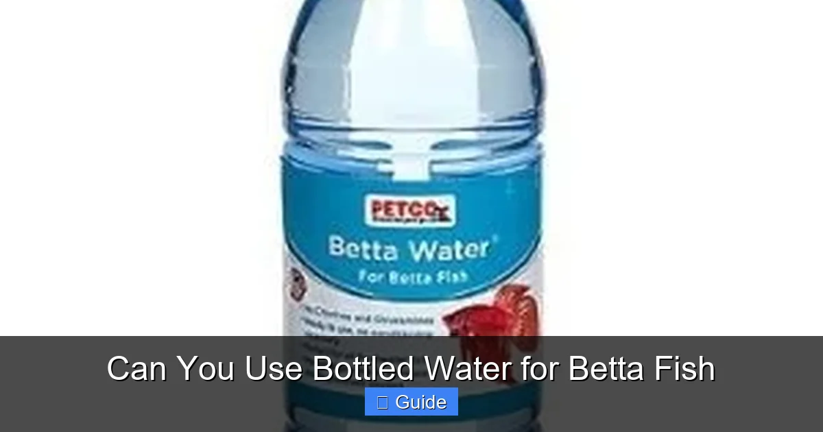 Can You Use Bottled Water for Betta Fish