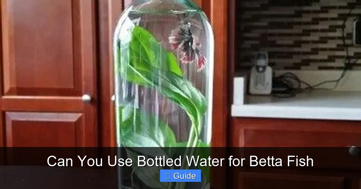 Can You Use Bottled Water for Betta Fish