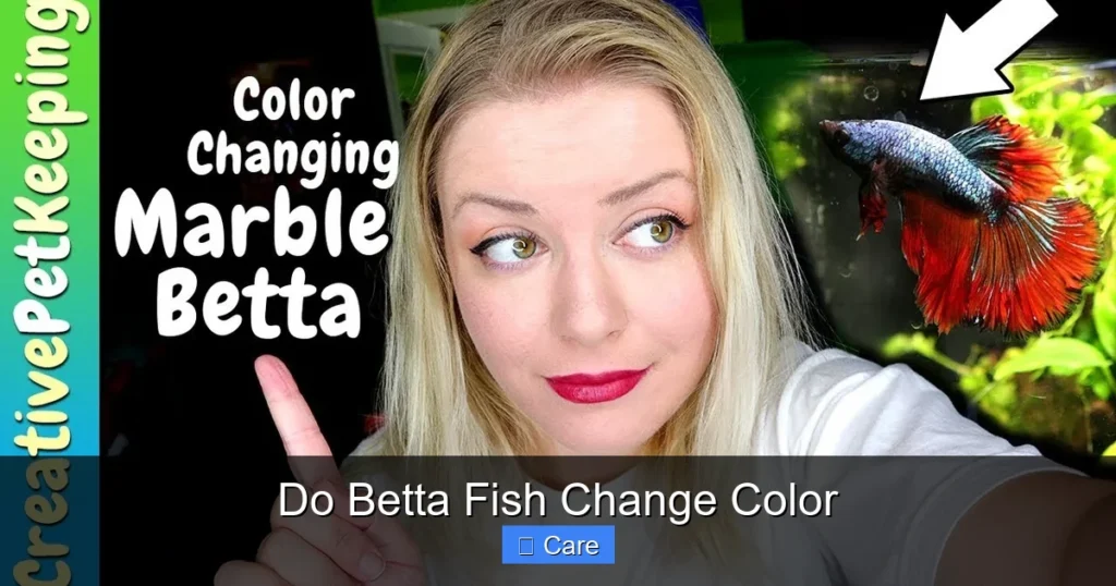 Do Betta Fish Change Color