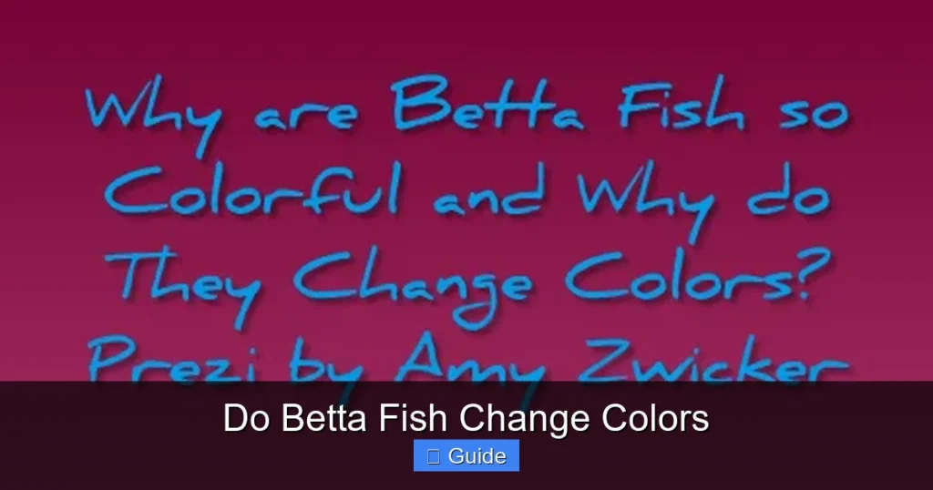 Do Betta Fish Change Colors