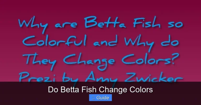 Do Betta Fish Change Colors