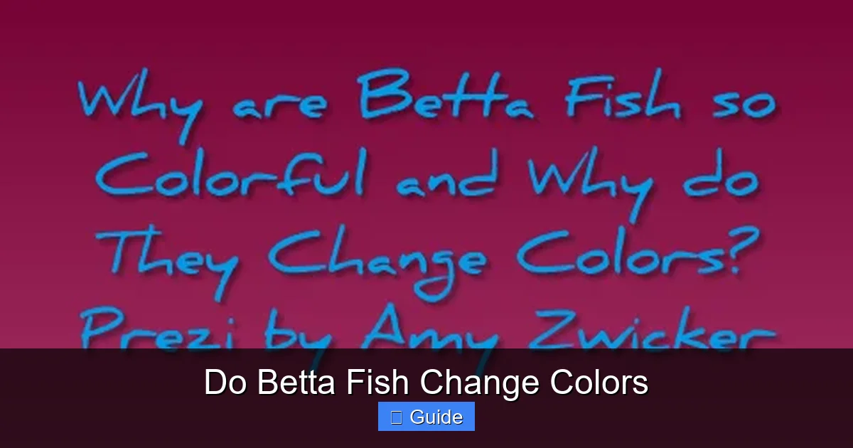 Do Betta Fish Change Colors