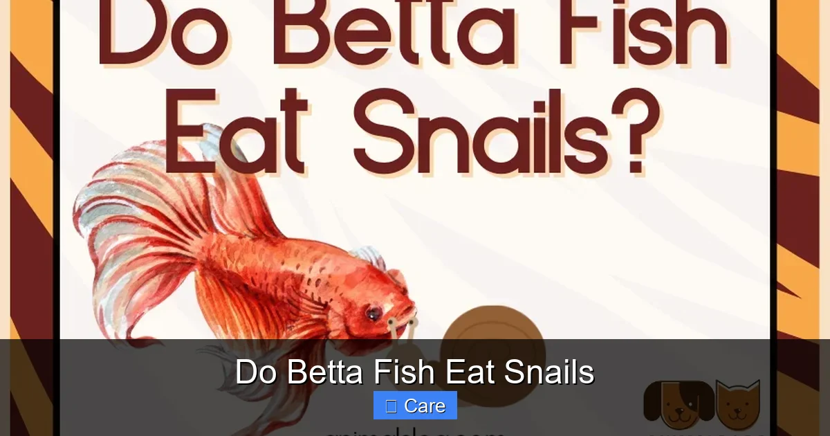 Do Betta Fish Eat Snails