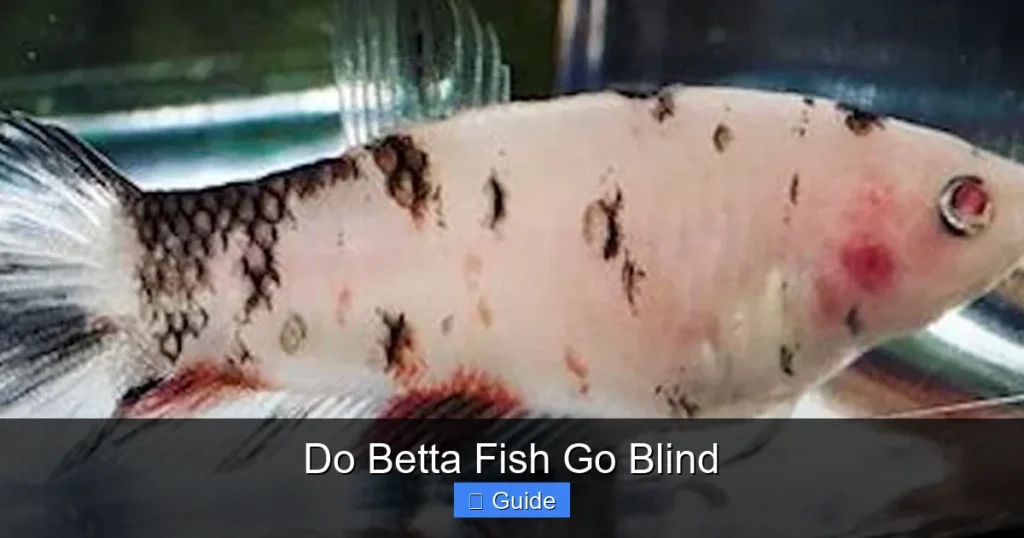 Do Betta Fish Go Blind