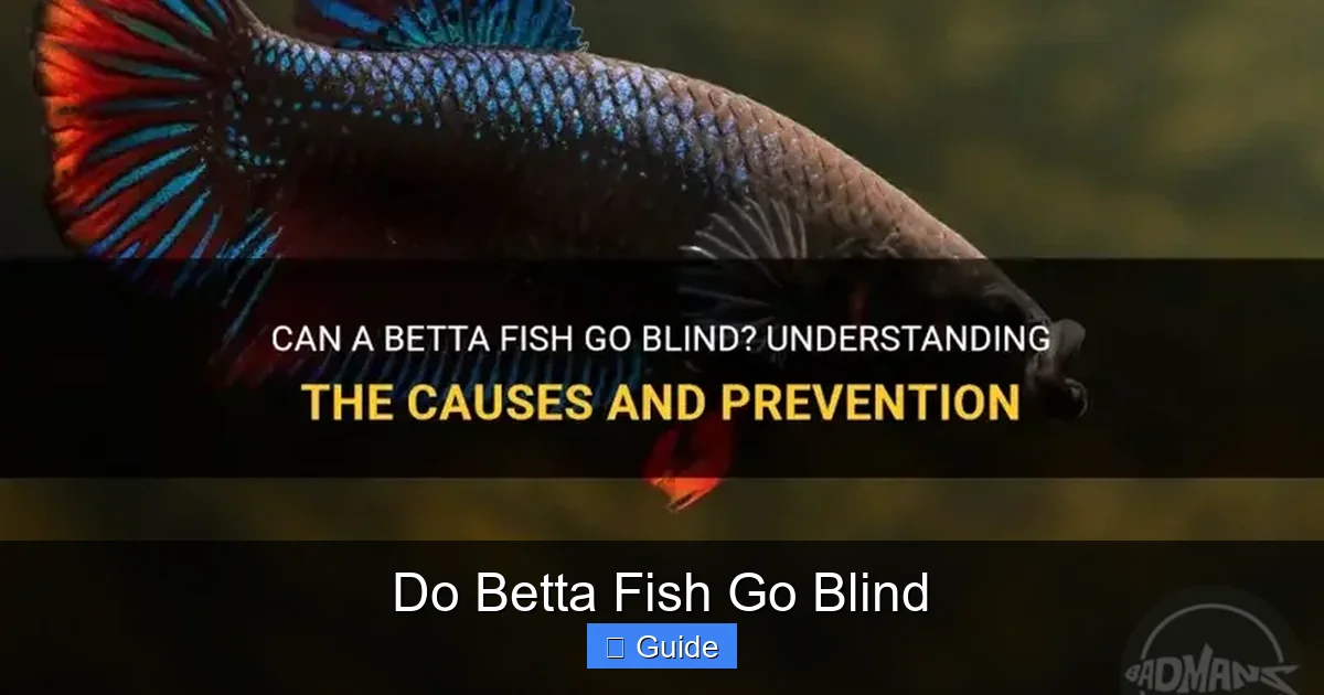 Do Betta Fish Go Blind
