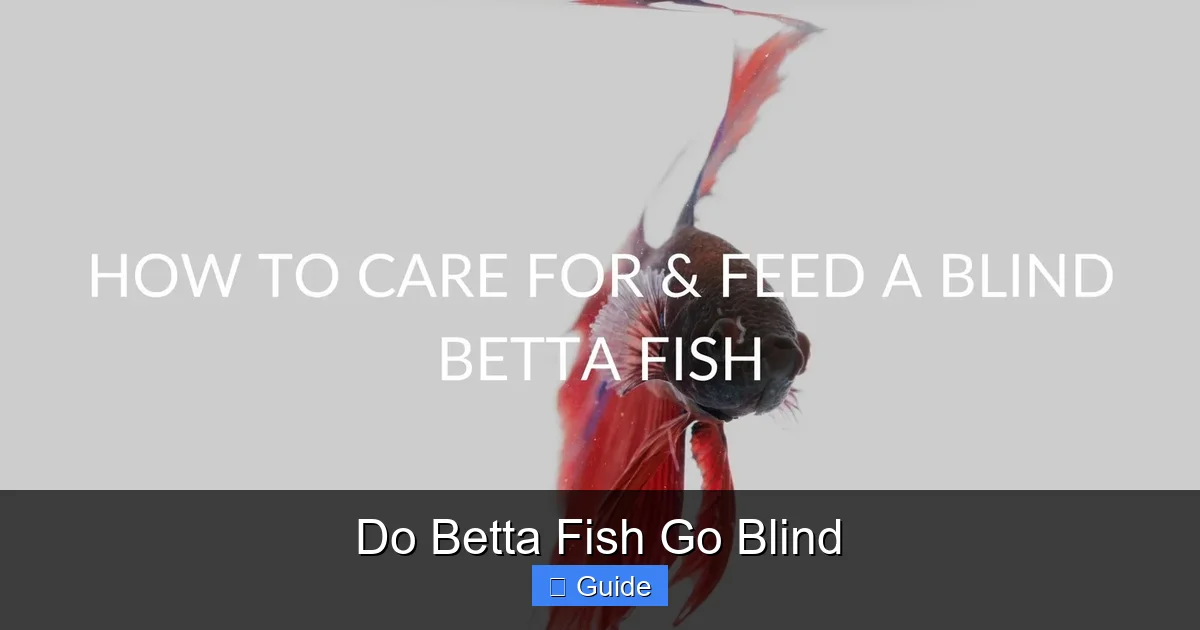 Do Betta Fish Go Blind
