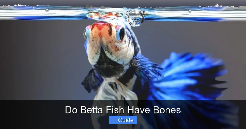 Do Betta Fish Have Bones