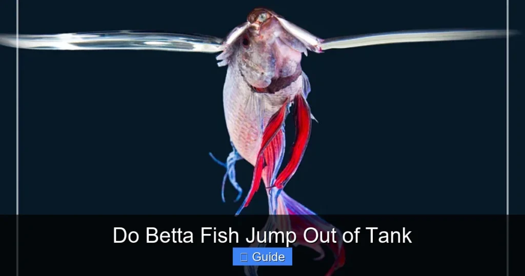 Do Betta Fish Jump Out of Tank