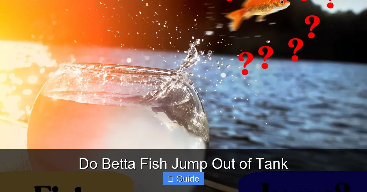Do Betta Fish Jump Out of Tank