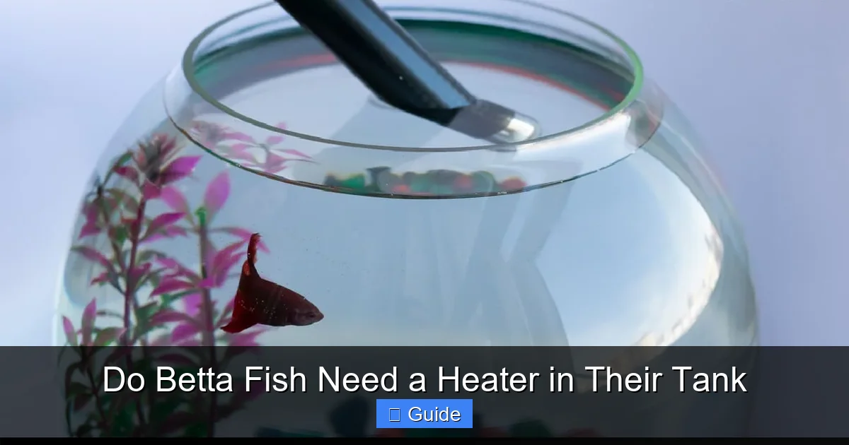 Do Betta Fish Need a Heater in Their Tank