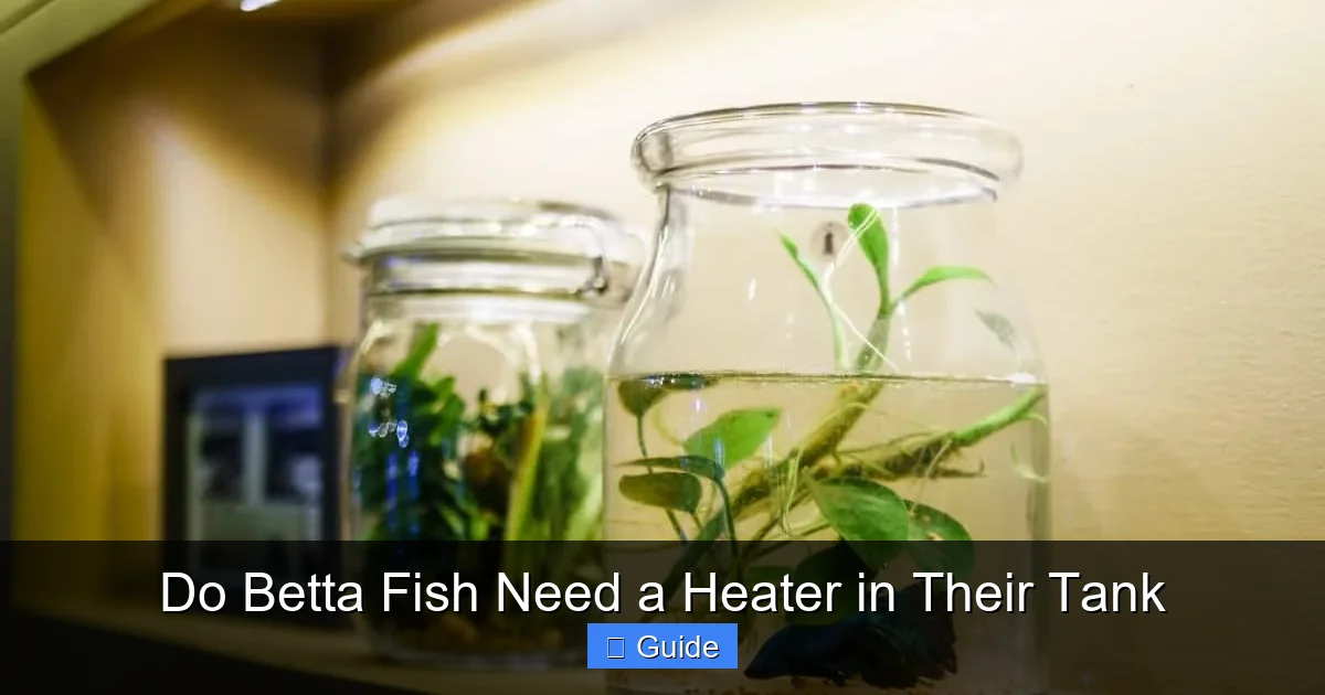 Do Betta Fish Need a Heater in Their Tank