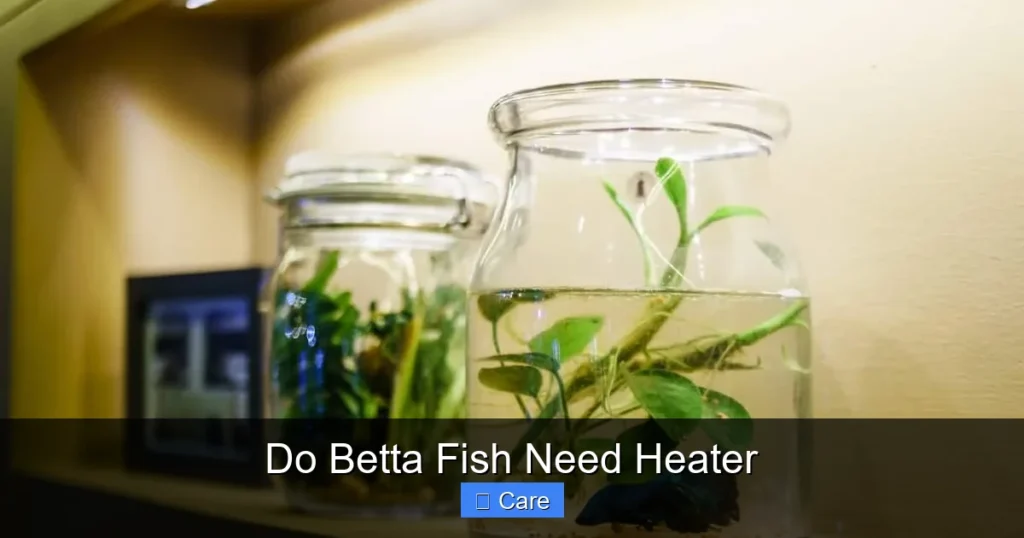 Do Betta Fish Need Heater