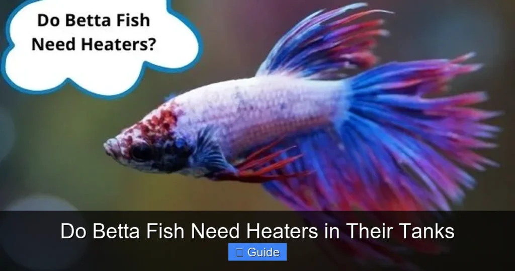 Do Betta Fish Need Heaters in Their Tanks
