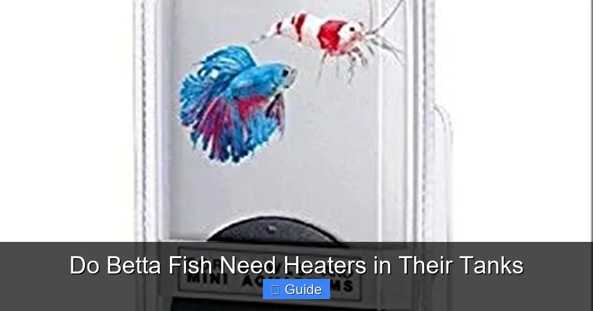 Do Betta Fish Need Heaters in Their Tanks