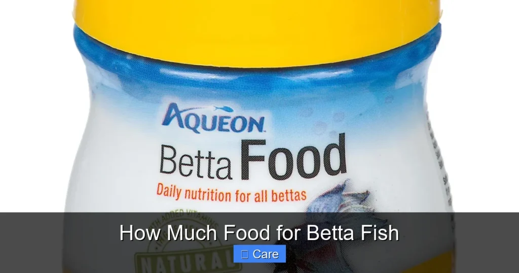 How Much Food for Betta Fish