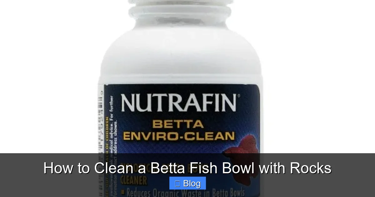How to Clean a Betta Fish Bowl with Rocks