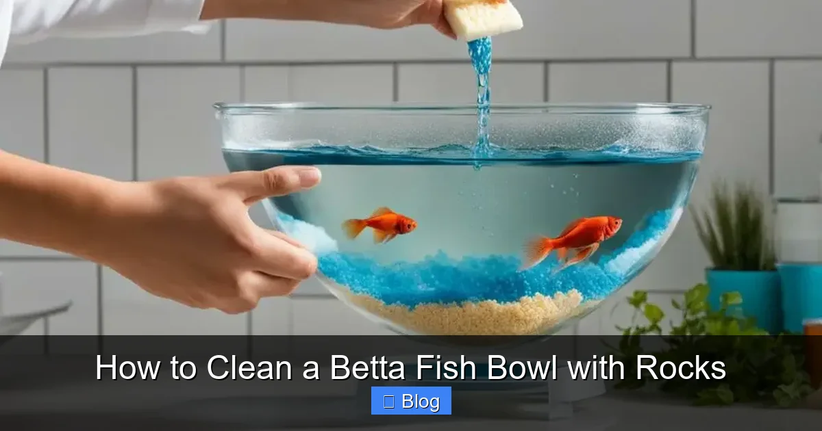 How to Clean a Betta Fish Bowl with Rocks