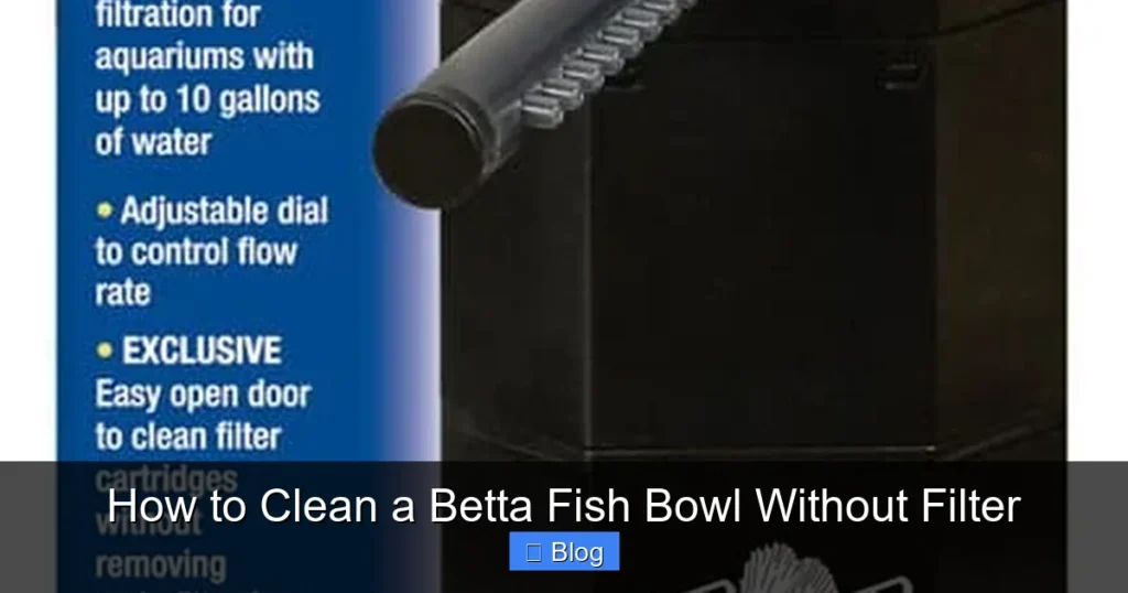 How to Clean a Betta Fish Bowl Without Filter