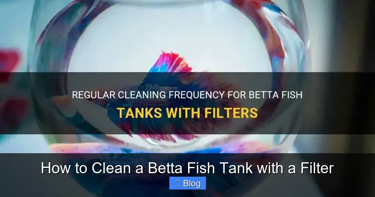 How to Clean a Betta Fish Tank with a Filter