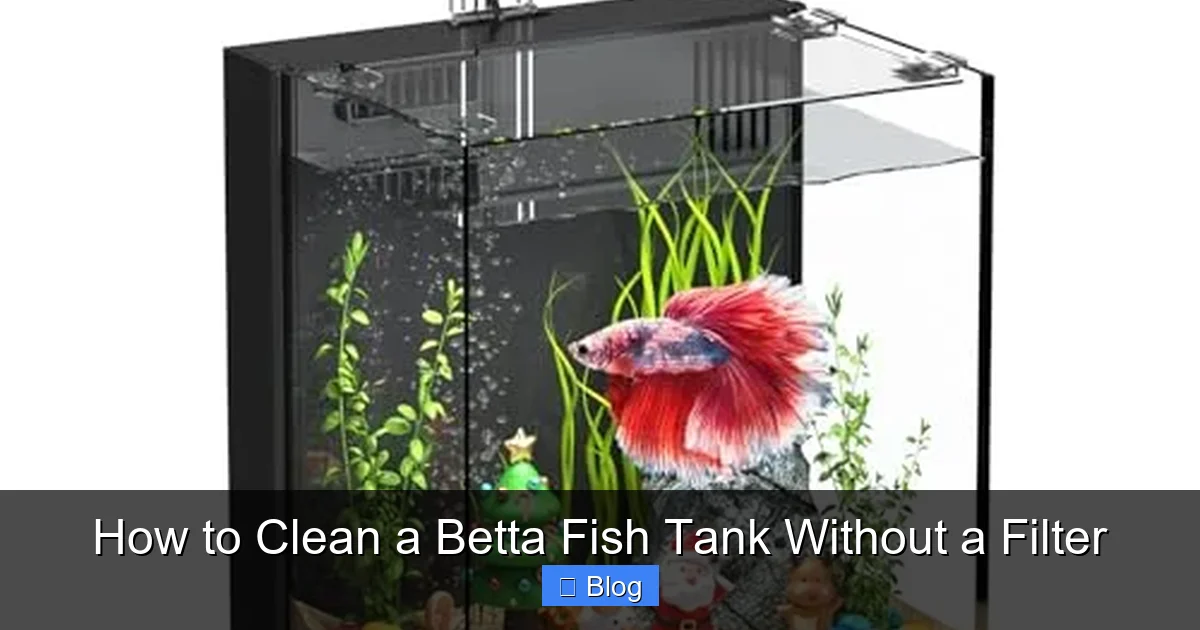 How to Clean a Betta Fish Tank Without a Filter