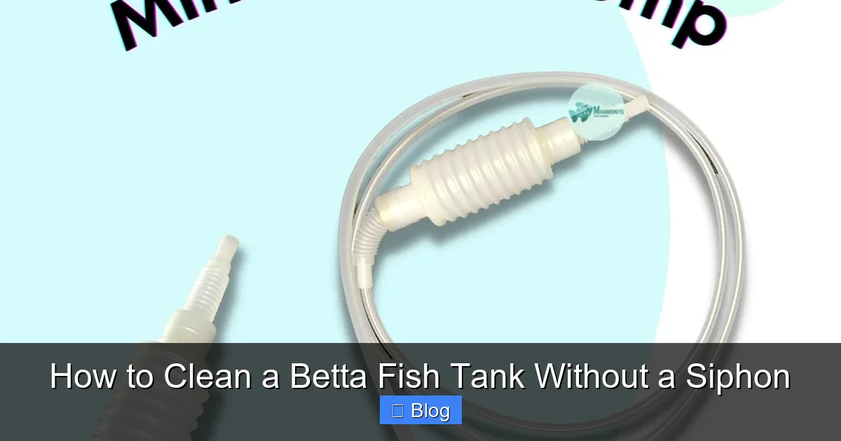 How to Clean a Betta Fish Tank Without a Siphon