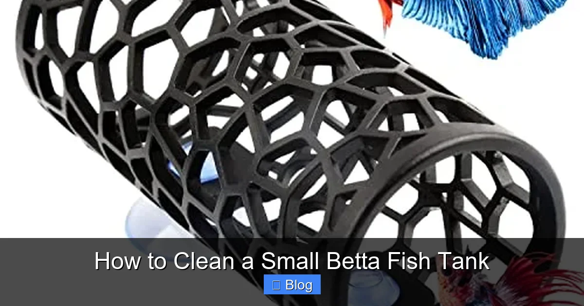 How to Clean a Small Betta Fish Tank