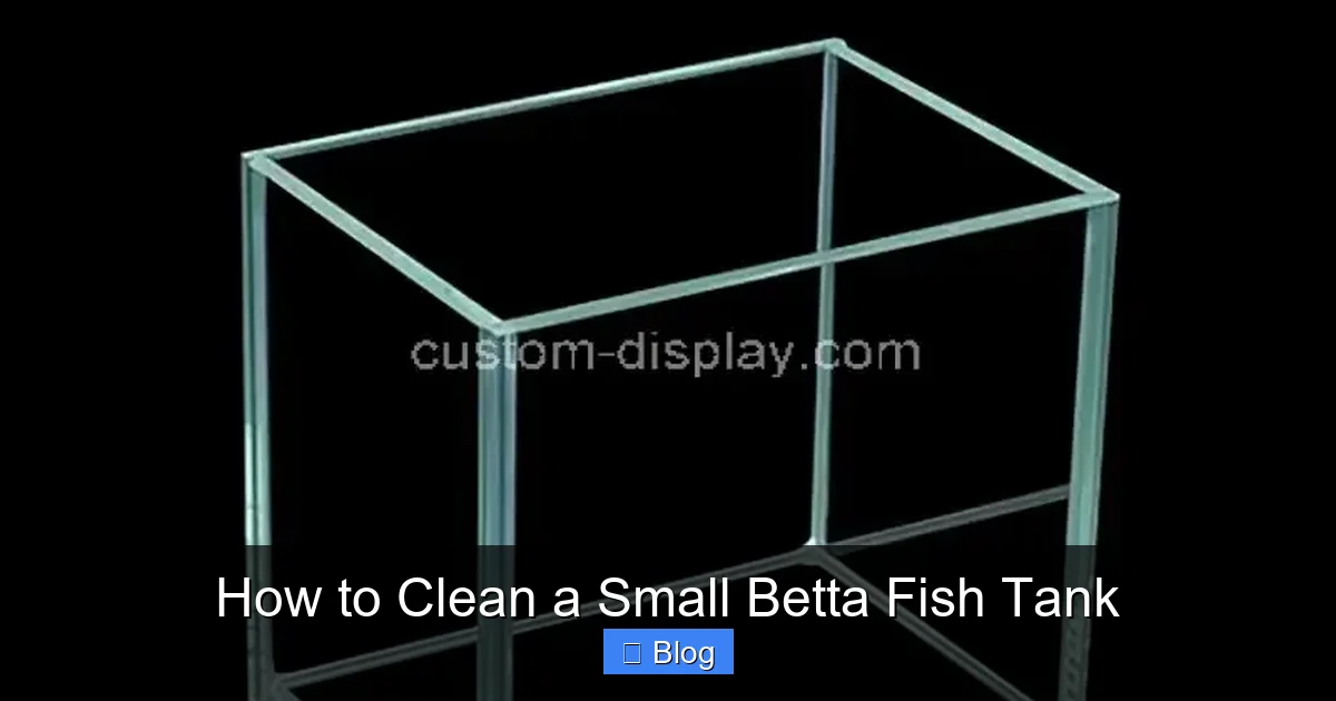 How to Clean a Small Betta Fish Tank