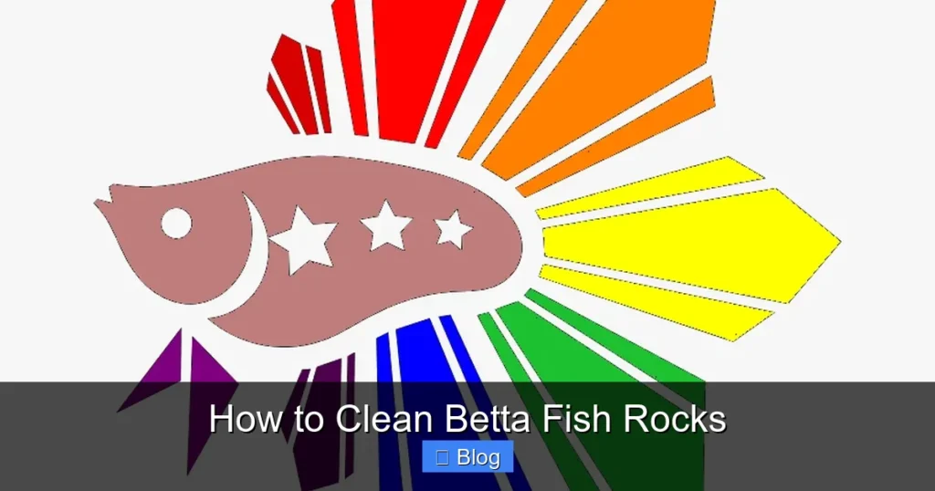 How to Clean Betta Fish Rocks