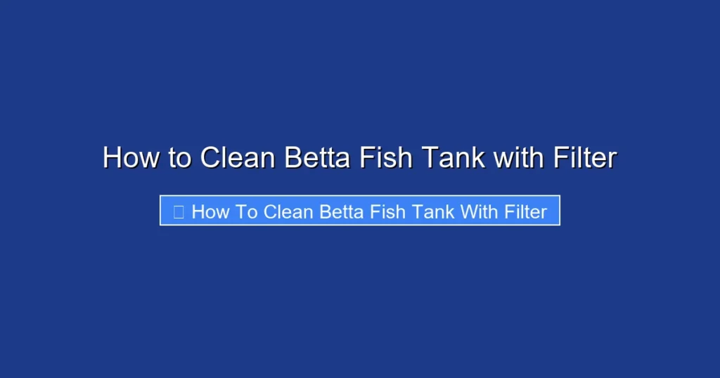 How to Clean Betta Fish Tank with Filter