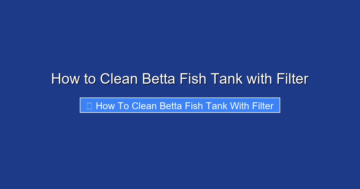How to Clean Betta Fish Tank with Filter