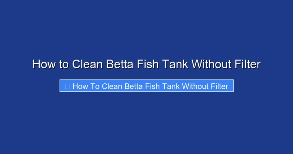 How to Clean Betta Fish Tank Without Filter
