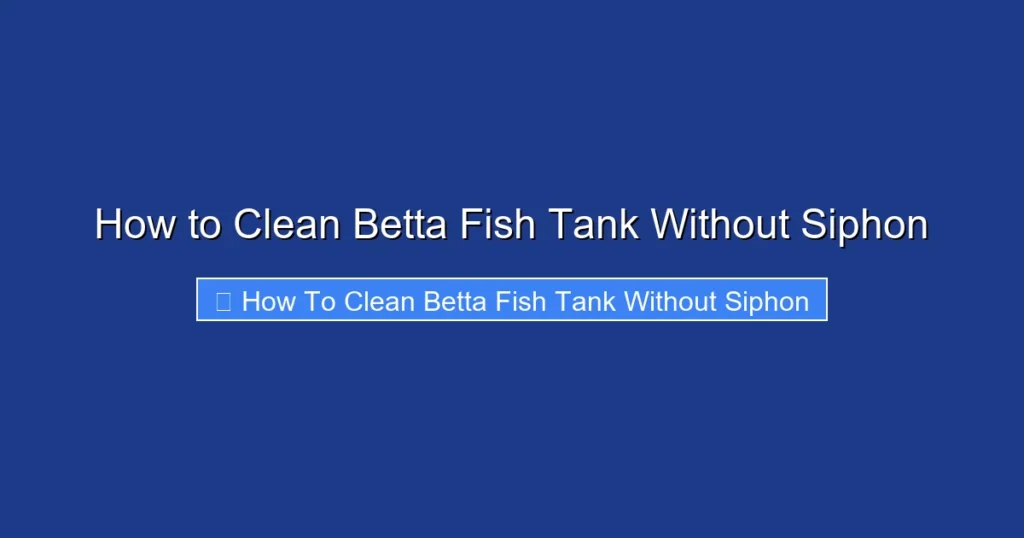 How to Clean Betta Fish Tank Without Siphon