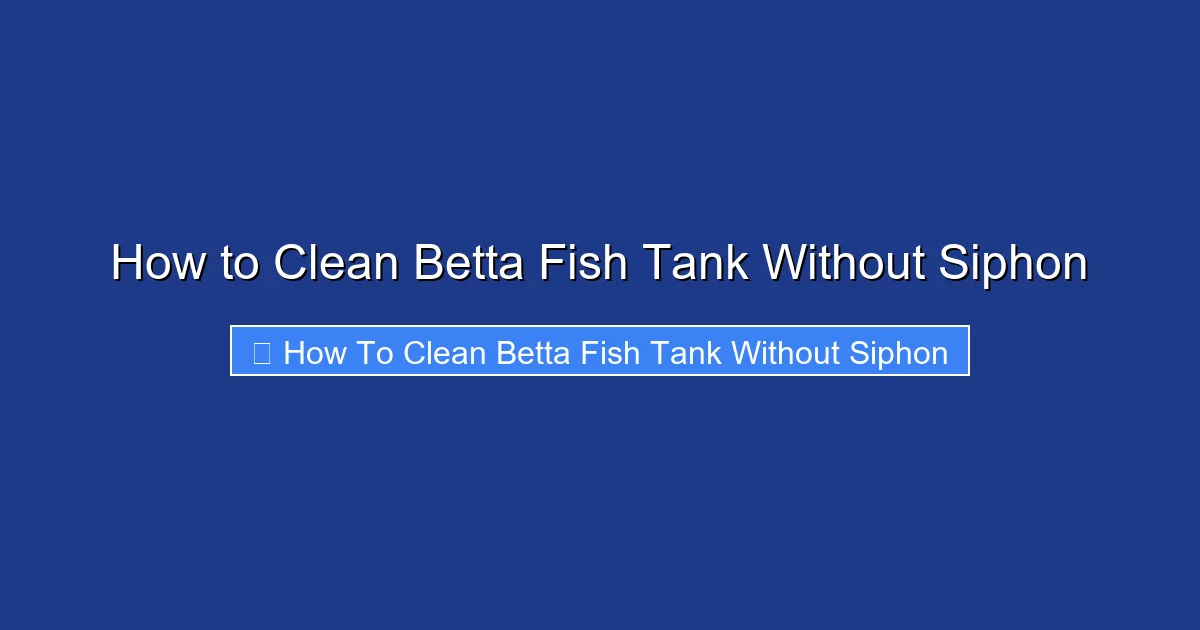 How to Clean Betta Fish Tank Without Siphon