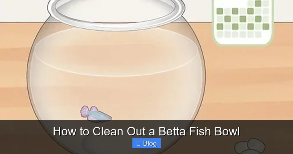 How to Clean Out a Betta Fish Bowl