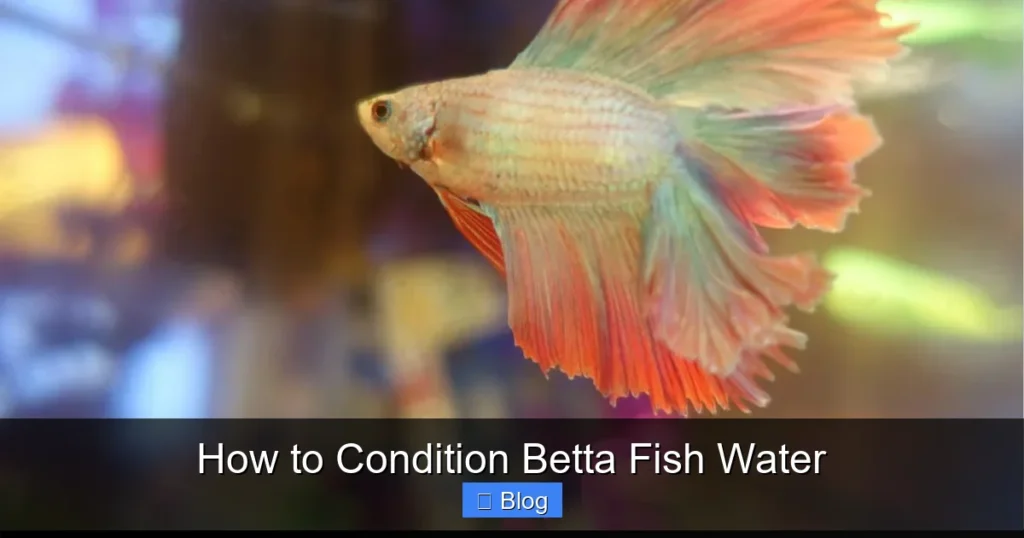 How to Condition Betta Fish Water