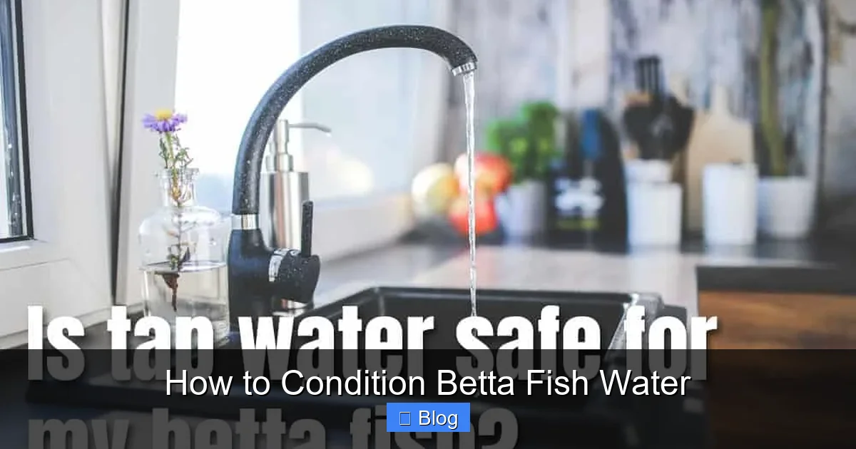 How to Condition Betta Fish Water