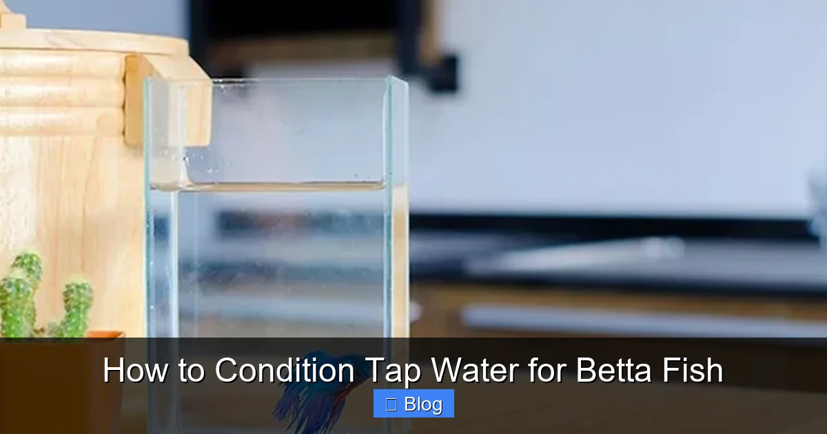 How to Condition Tap Water for Betta Fish