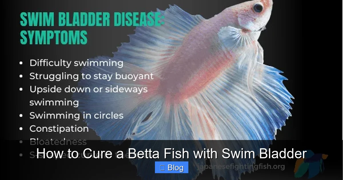 How to Cure a Betta Fish with Swim Bladder