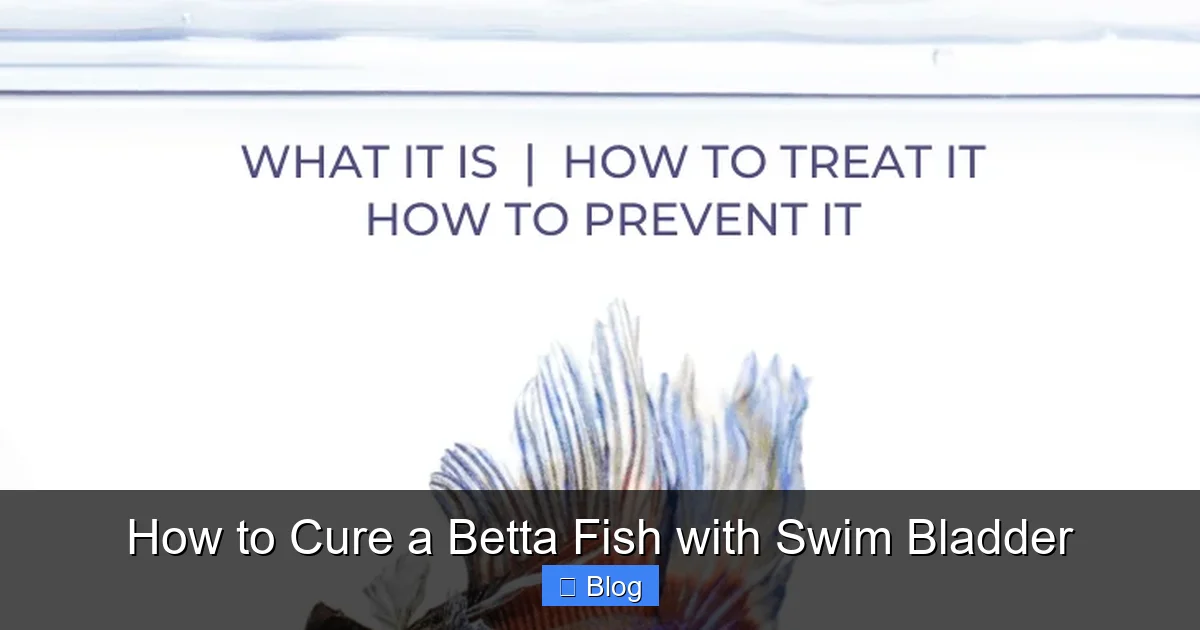 How to Cure a Betta Fish with Swim Bladder