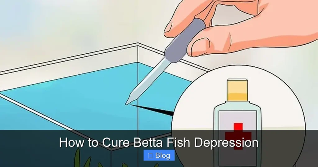 How to Cure Betta Fish Depression